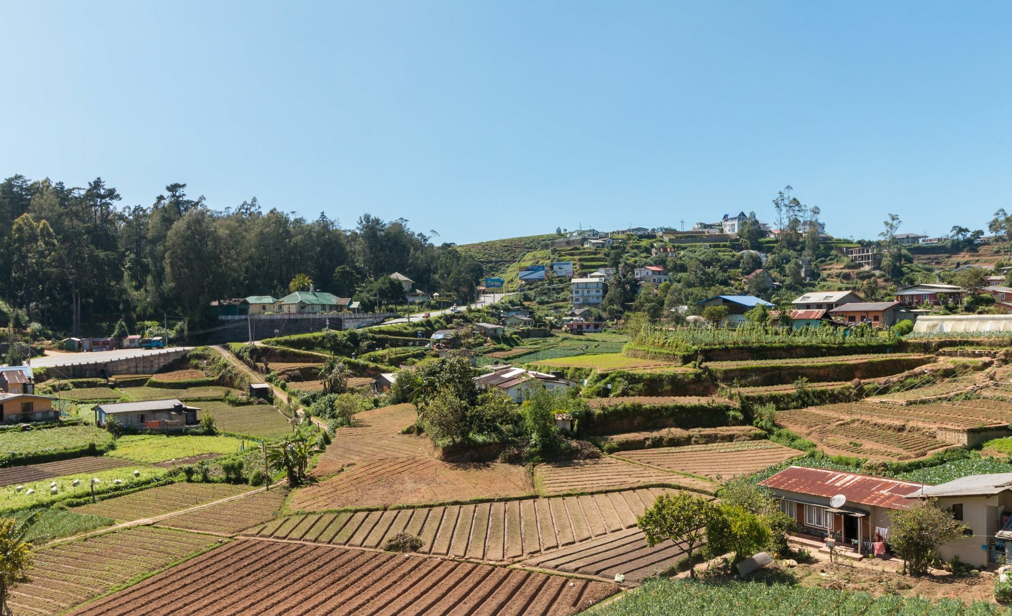 Aaradhya Villa Nuwara Eliya Kültér fotó